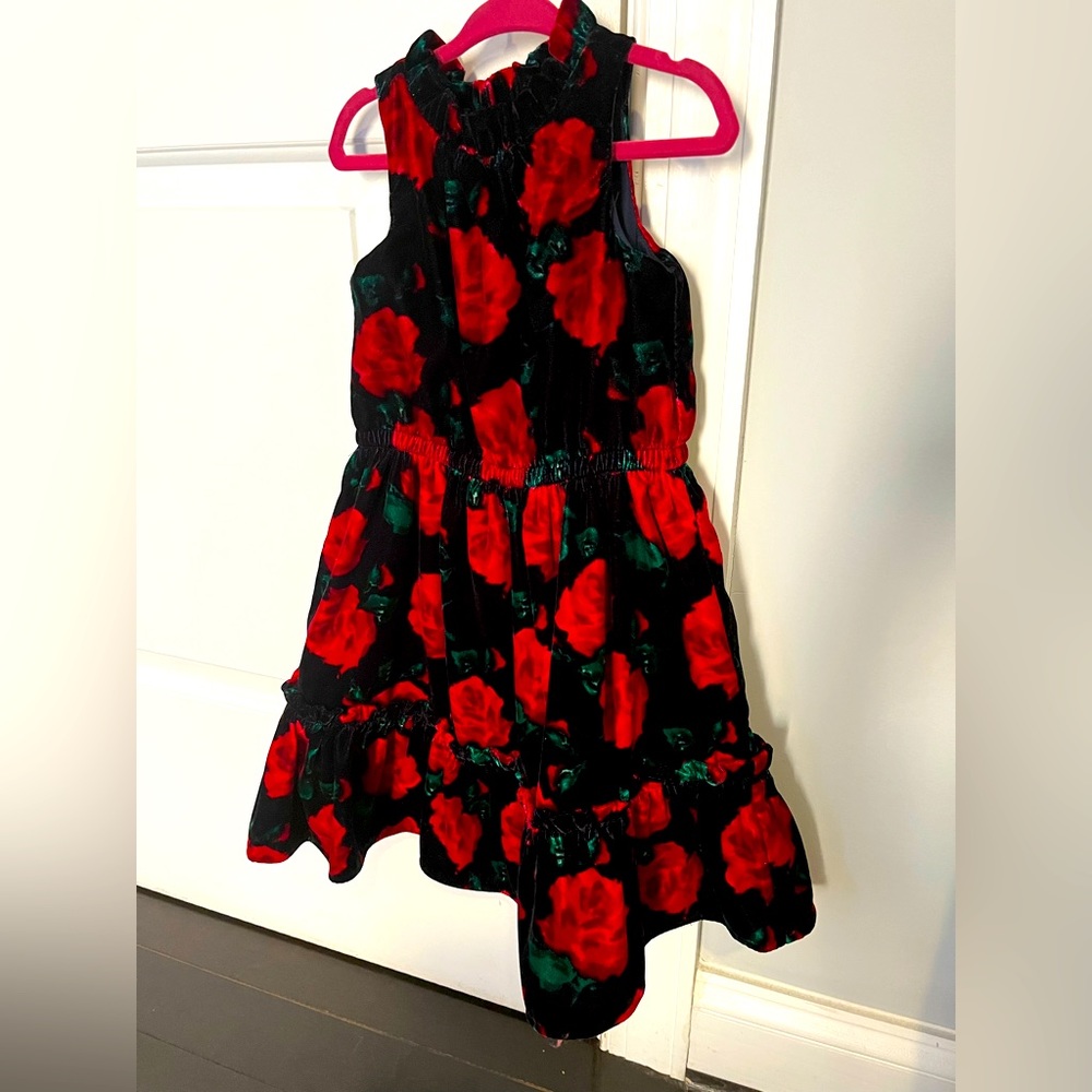 Janie & Jack Girls Velvet Dress in Dark Marine Rose Print size 3 BNWTB!!